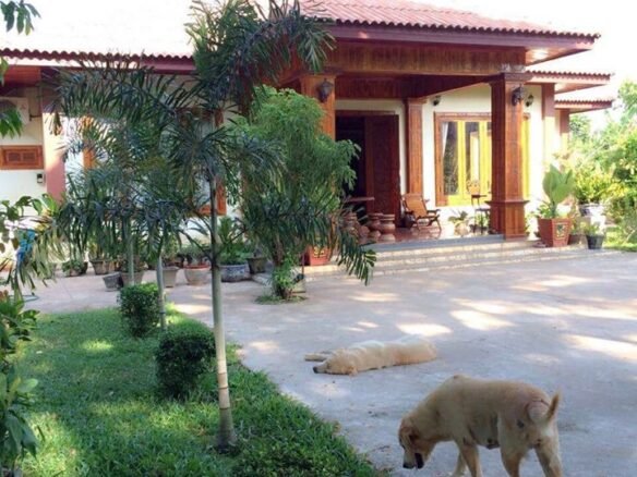 ID: 4439 – Business Opportunity, Property for business and agriculture, for sale in Ban Kern, Vienti