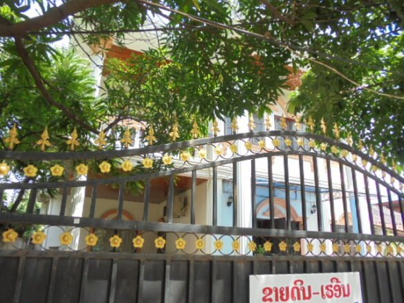 ID:456 House for sale in center by mekong river