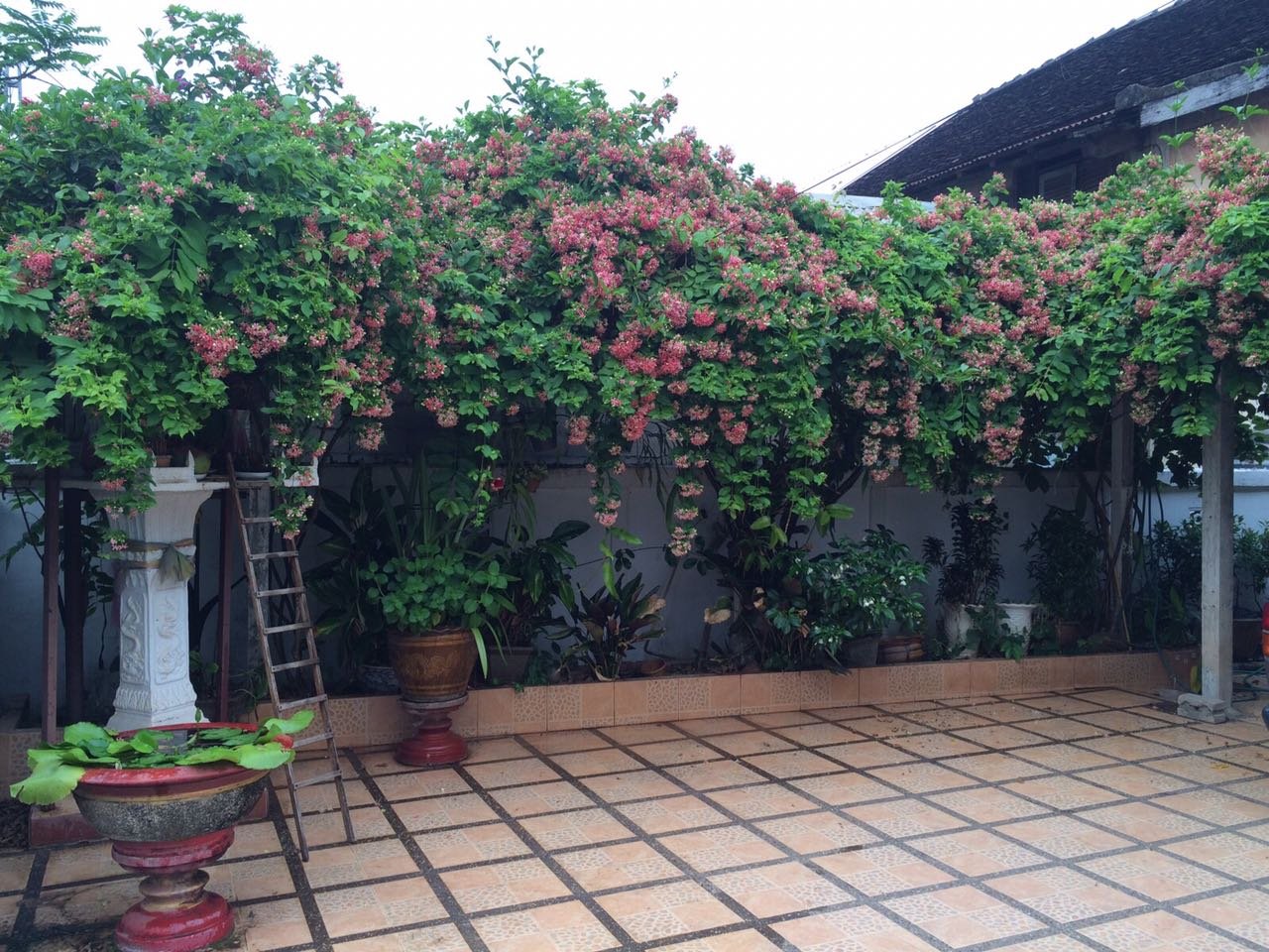 House-for-rent-Sikhottabong-Vientiane-Lao20161021_5124 ID: 3350 – The dream home in prime location near Mekong River for sale by good access