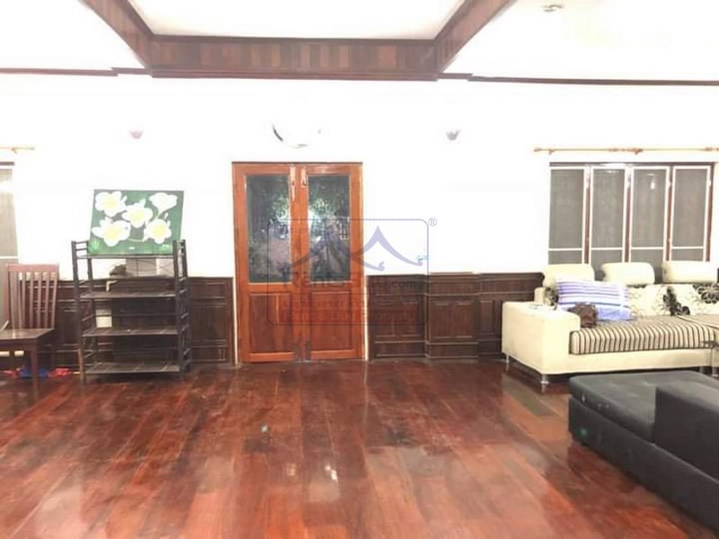 800