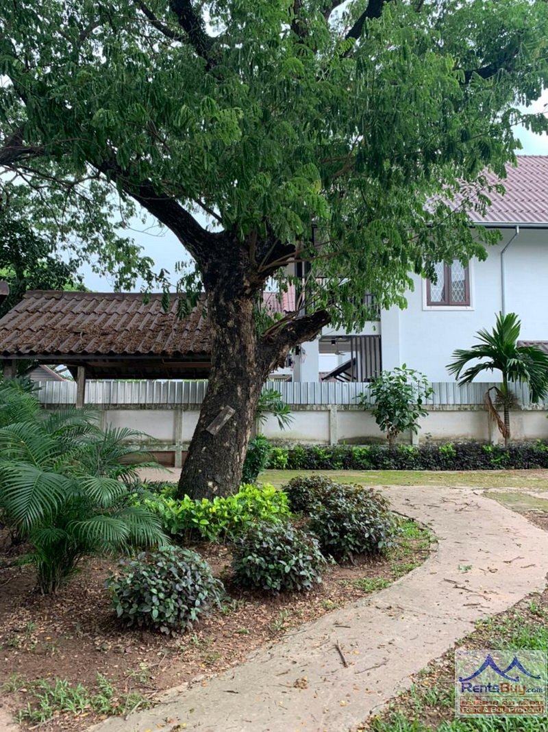 4706-Beautiful Lao Style house for rent