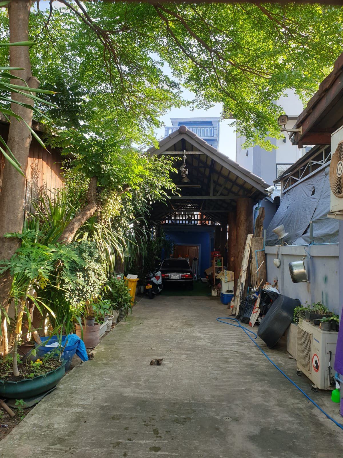 5032-The nice villa house for rent close to Embassy of Japan.