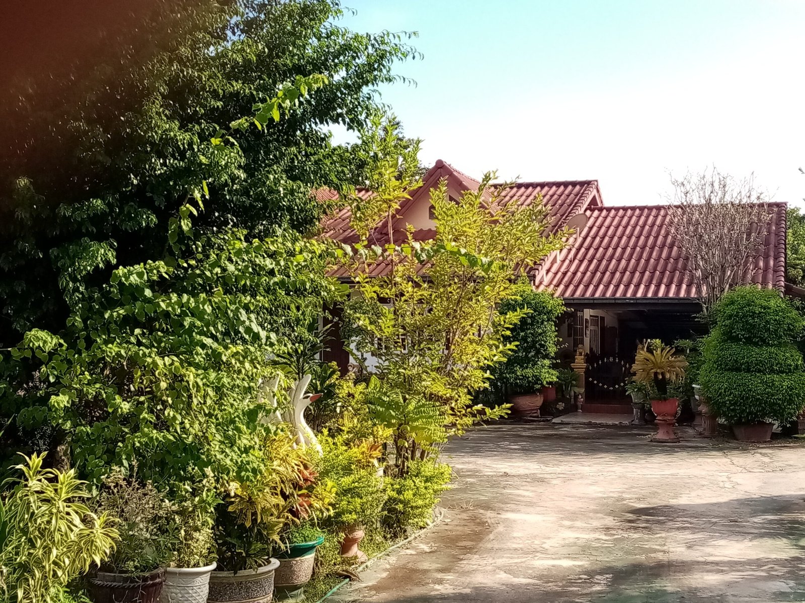 4984-Most beautiful Lao contemporary house with large garden for sale close to Lao-American College.