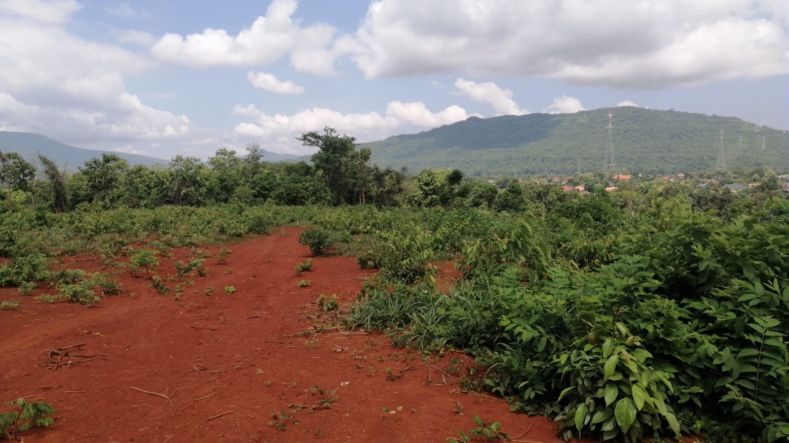 6 5185-Land in Pakse near Airport for sale