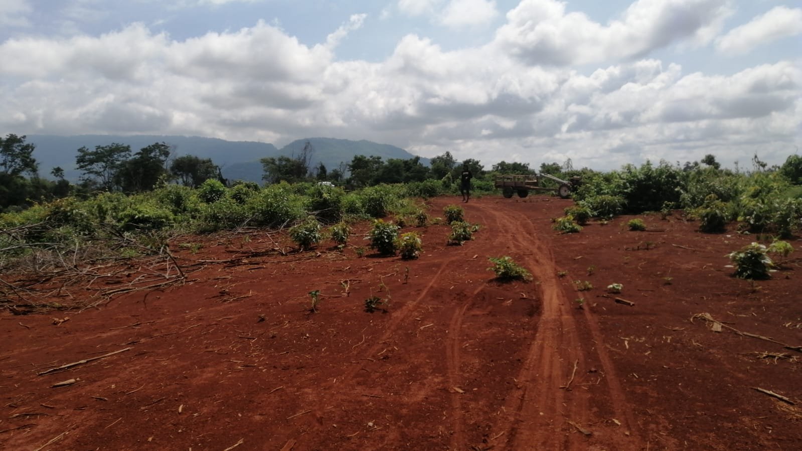 8 5185-Land in Pakse near Airport for sale
