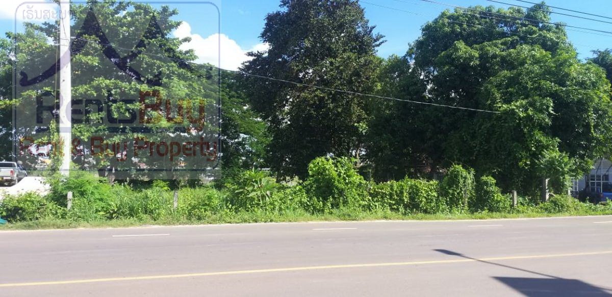 Vacantland_10 5323-Vacant land by Mekong and pave road with tress next to the main road in community area, suitable for business