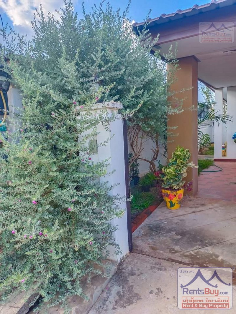 houseforrent_8 5322-The nice villa house one storey house for rent near Vanglao Daokham Restaurant