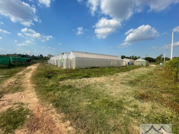 5430-The vacant land for rent in Chanthabuly District.