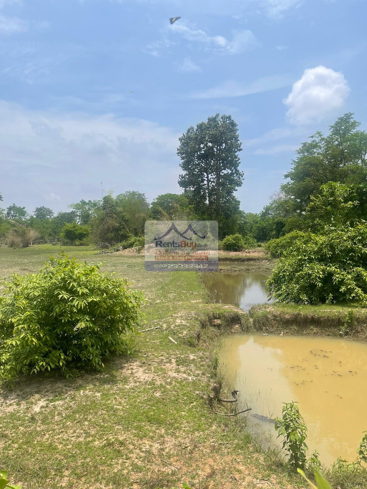 5746 – The land for sale near Donnoon Roundabout, TRC Home center