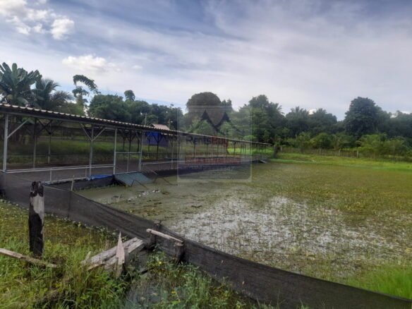 6167-Farming Land for Sale in Samsaart Village, Saythany District