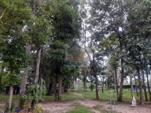 6166-Land for sale with a large garden and a pond in Thagon