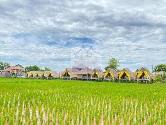 6254-A Thriving Gardening Restaurant Opportunity in Houay Hong Village