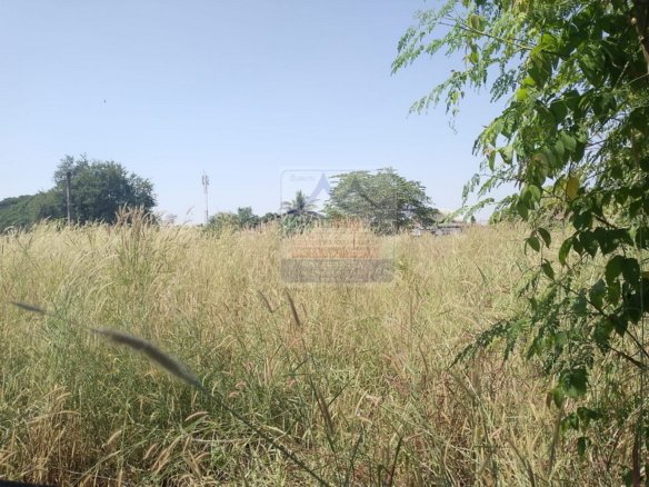 6290-This prime piece of land,  located in front of Hospital 103, offering unparalleled visibility and accessibility.