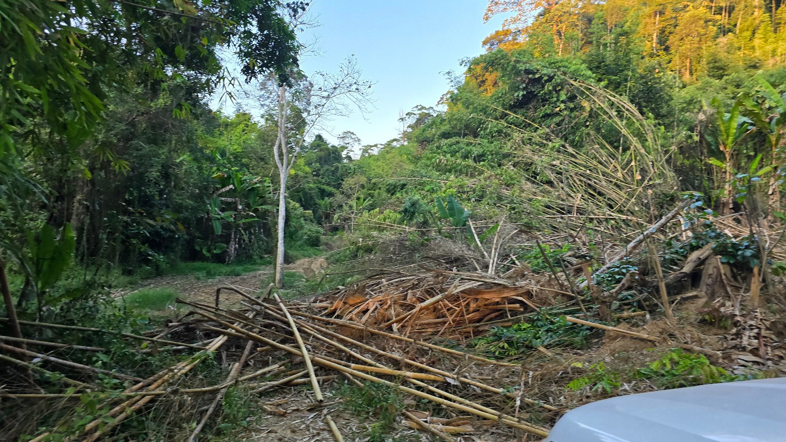 6327-A Prime Agricultural Investment Opportunity in Laos