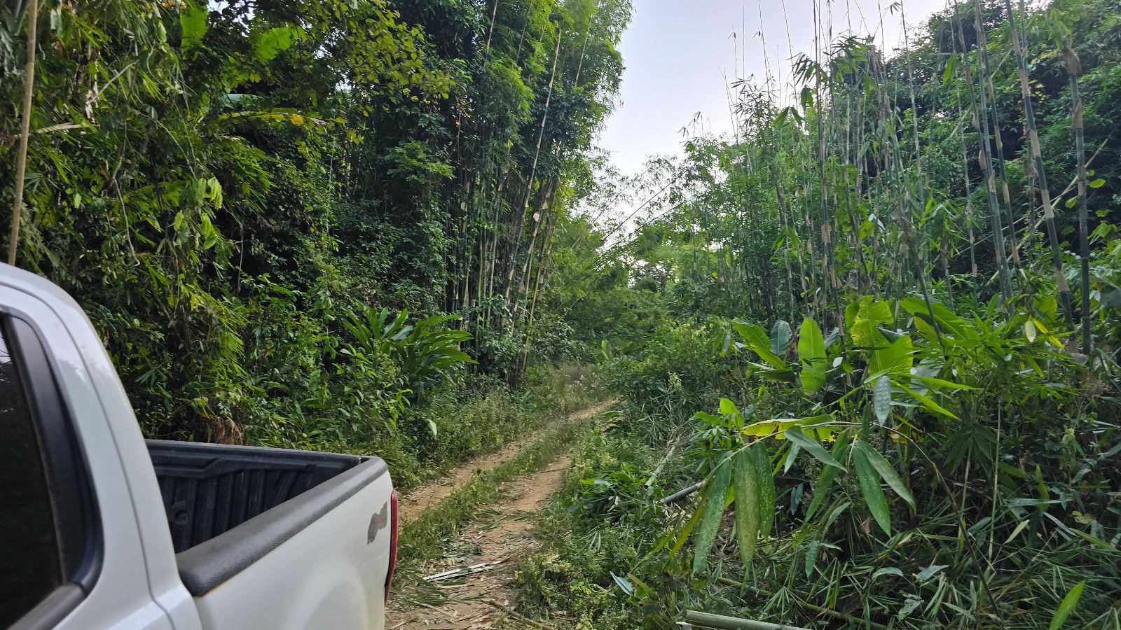 6327-A Prime Agricultural Investment Opportunity in Laos