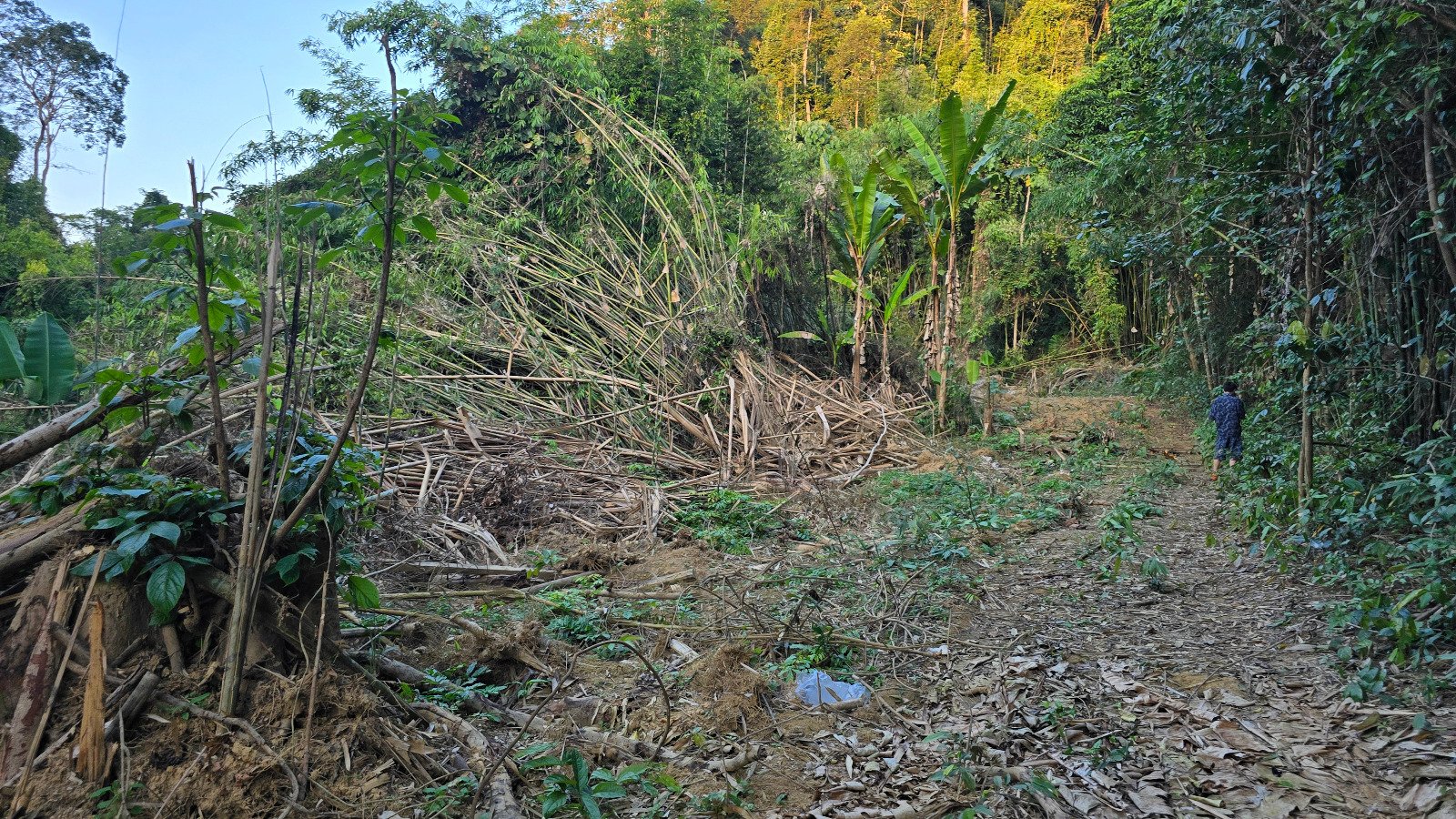 6327-A Prime Agricultural Investment Opportunity in Laos