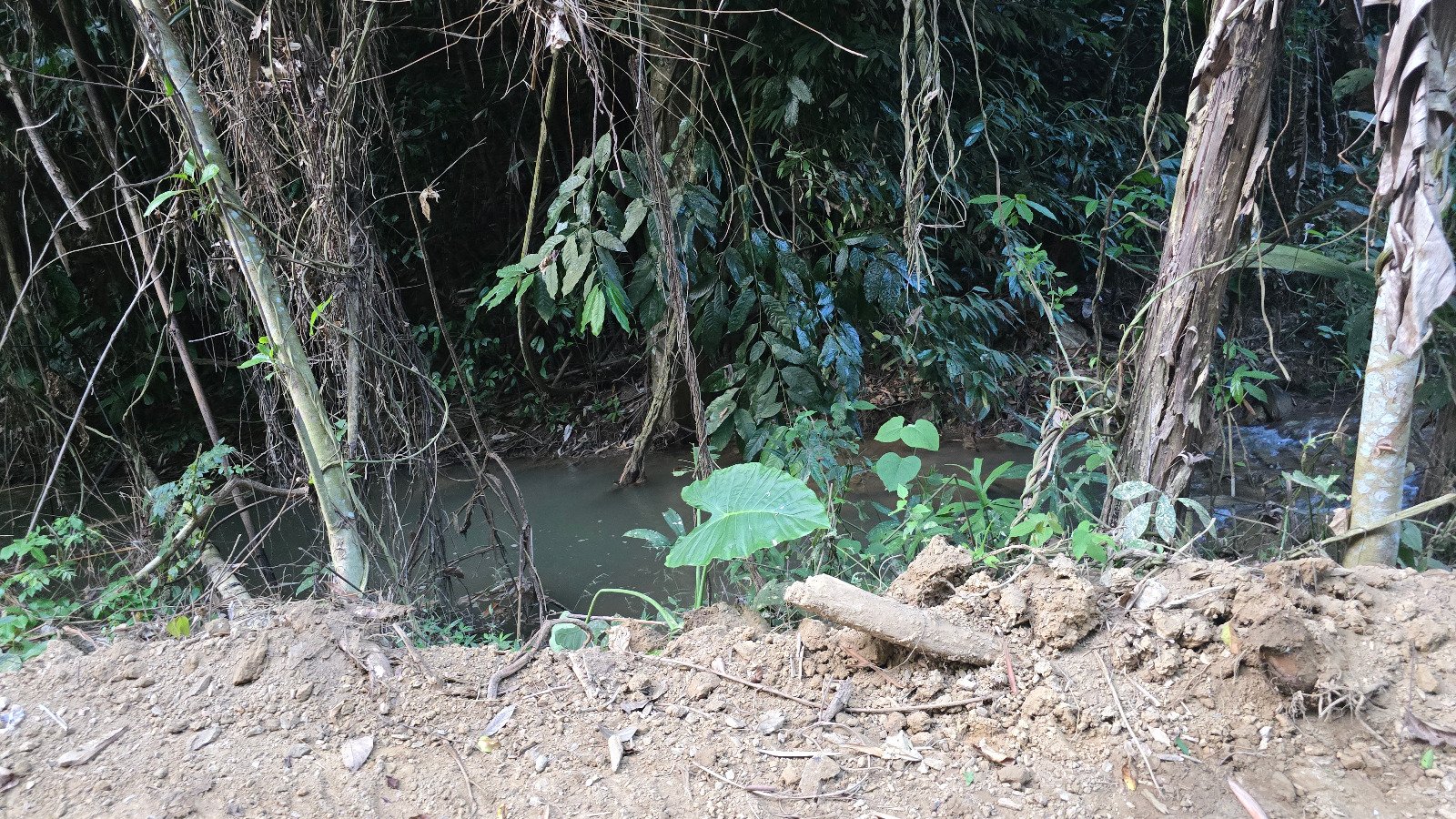 6327-A Prime Agricultural Investment Opportunity in Laos