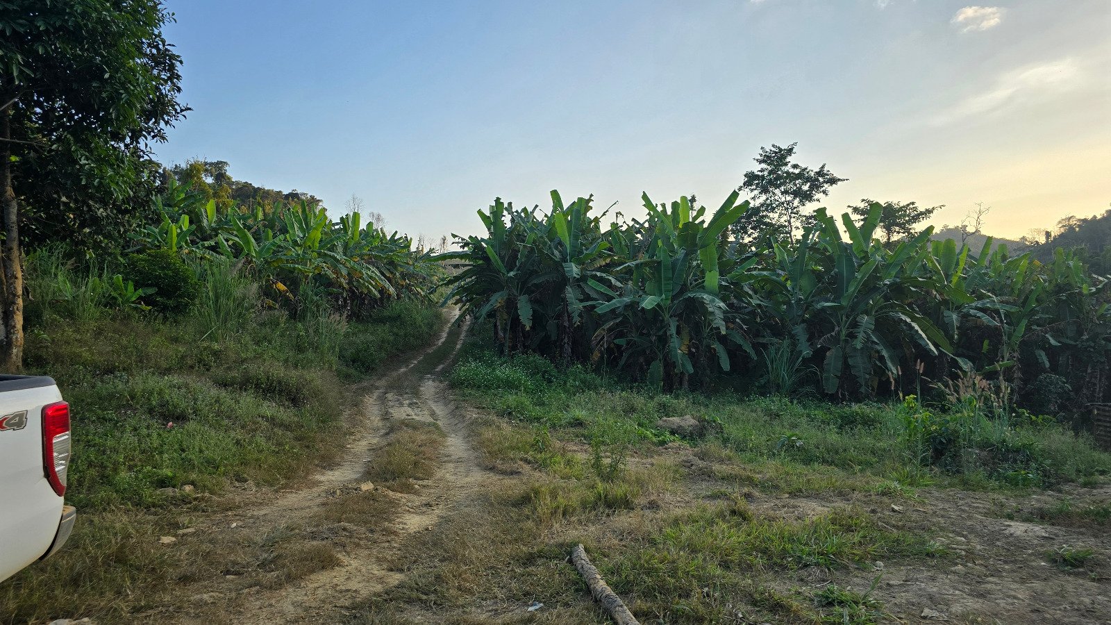 6327-A Prime Agricultural Investment Opportunity in Laos
