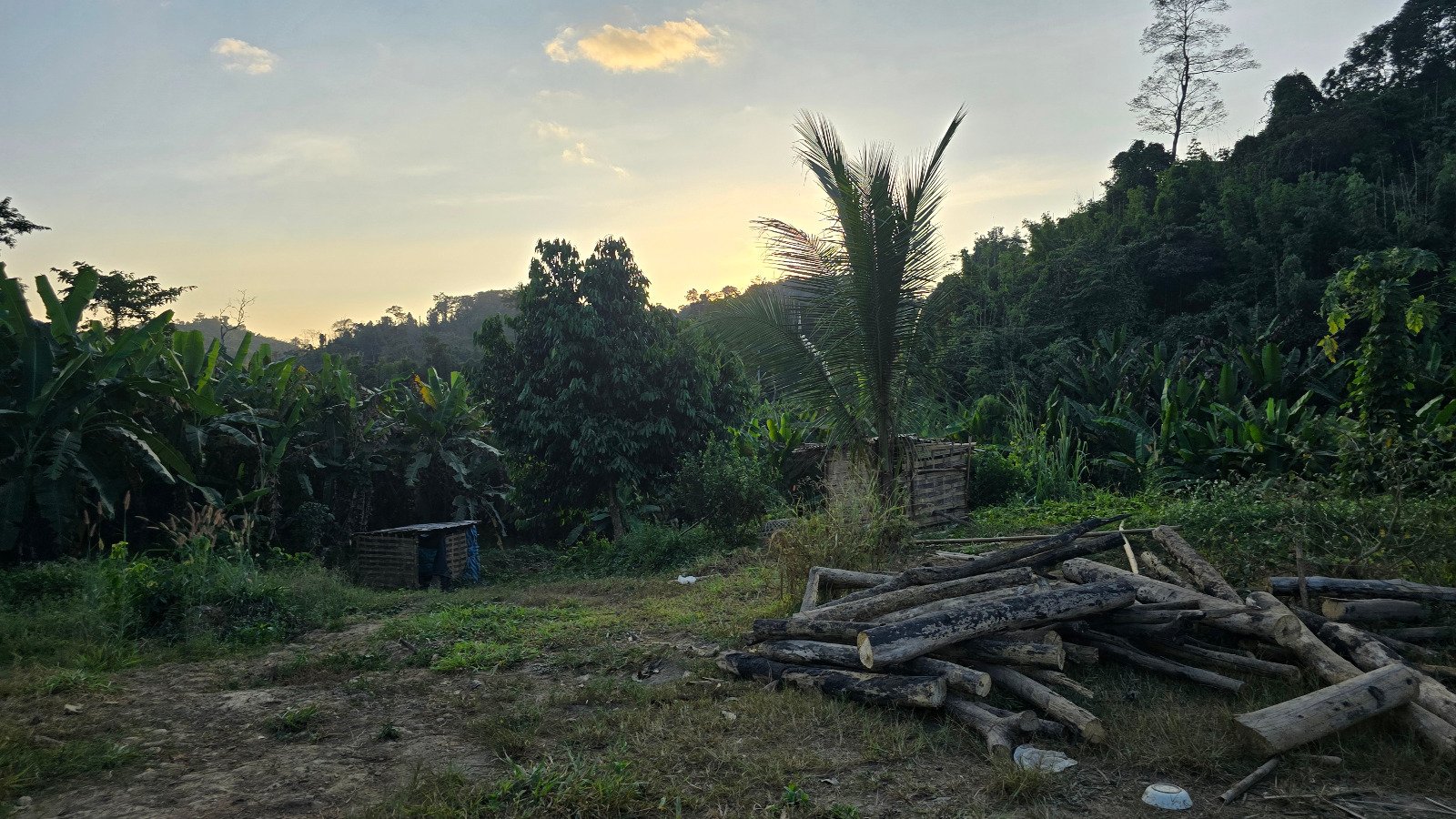 6327-A Prime Agricultural Investment Opportunity in Laos