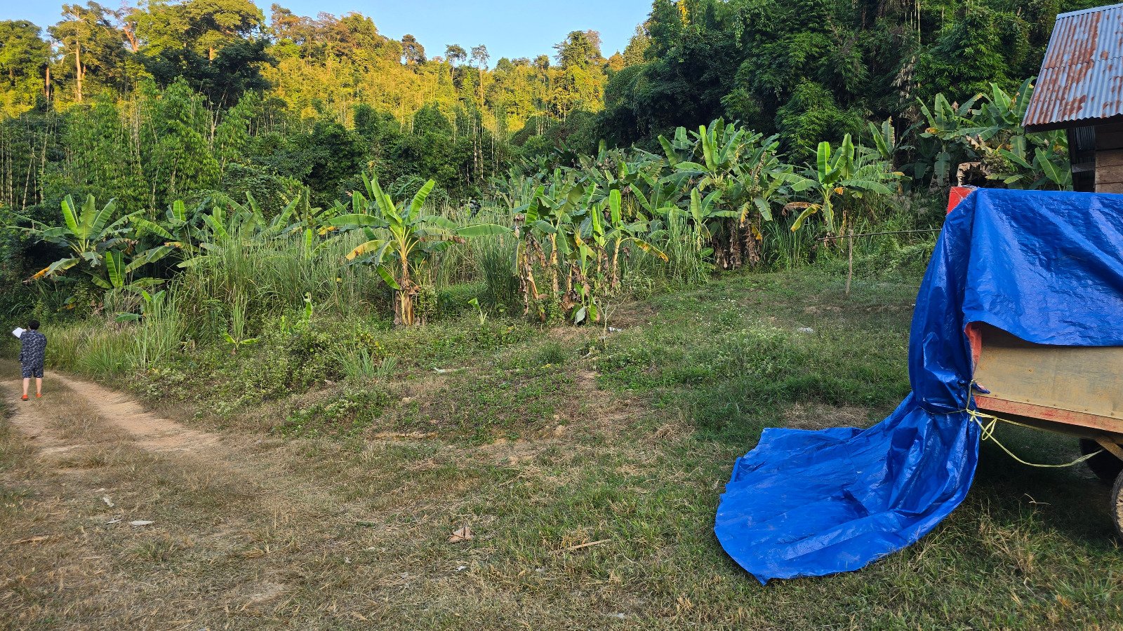 6327-A Prime Agricultural Investment Opportunity in Laos