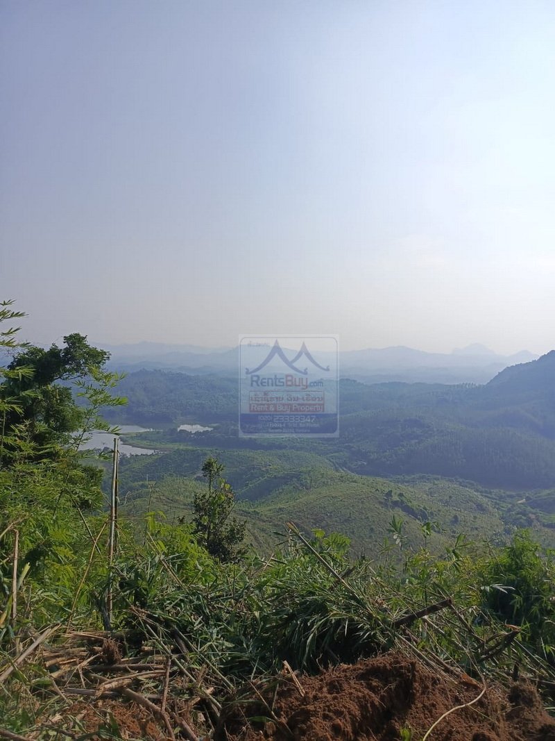 6331-Extensive Land for Rent: Meung Feung District, Vientiane Province
