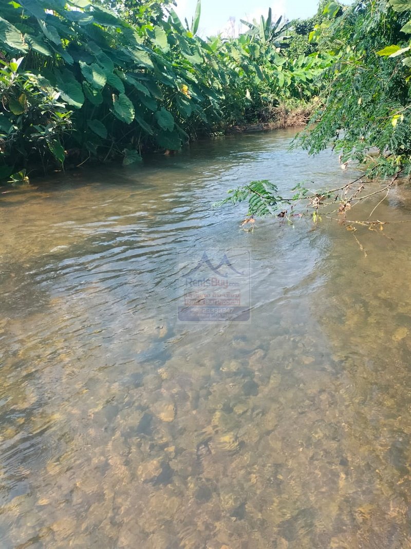 6331-Extensive Land for Rent: Meung Feung District, Vientiane Province