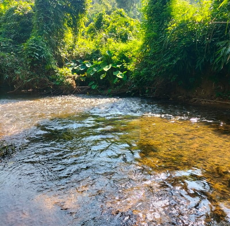 800