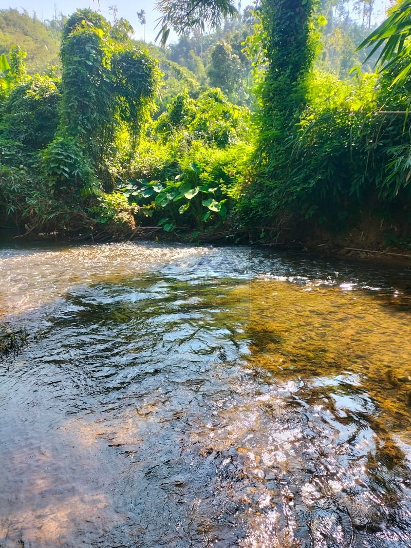 6331-Extensive Land for Rent: Meung Feung District, Vientiane Province