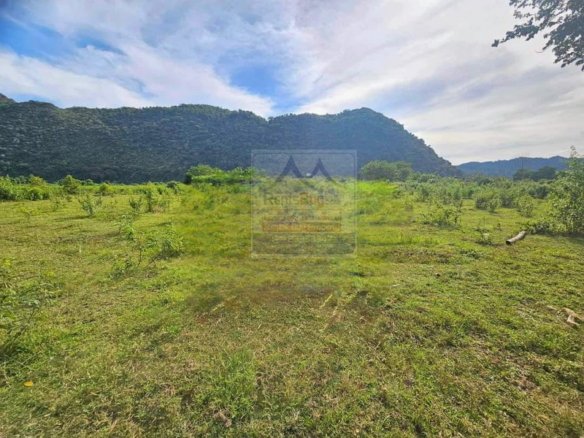 6328-Your Gateway to Agricultural Success: Vang Vieng Land for Sale