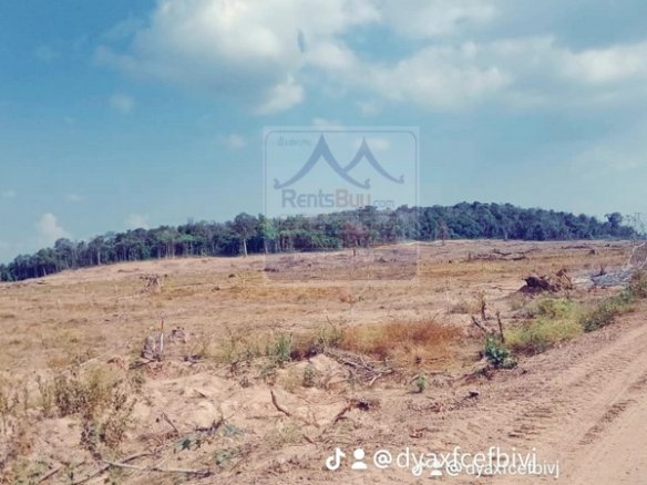 6353-Prime Rental Opportunity: 30,000 Hectares of State-Owned Land in Champasak Province