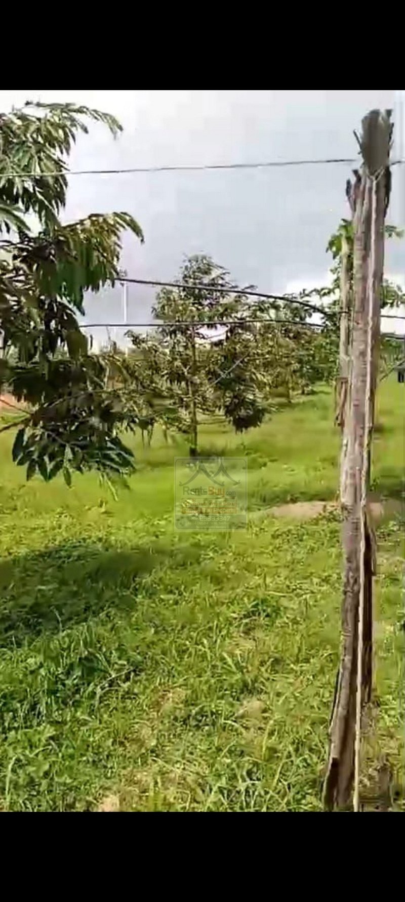 vacantlandforrentinsalavan04 6352-Agricultural vacant land for concession in Salavan district, Salavan Province