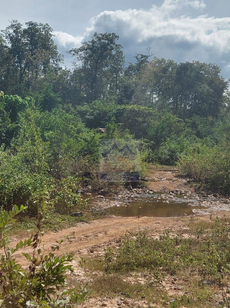 vacantlandforrentinsalavan05 6352-Agricultural vacant land for concession in Salavan district, Salavan Province