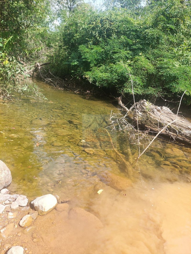 vacantlandforrentinsalavan07 6352-Agricultural vacant land for concession in Salavan district, Salavan Province