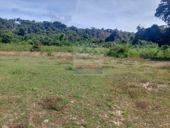 6352-Agricultural vacant land for concession in Salavan district, Salavan Province