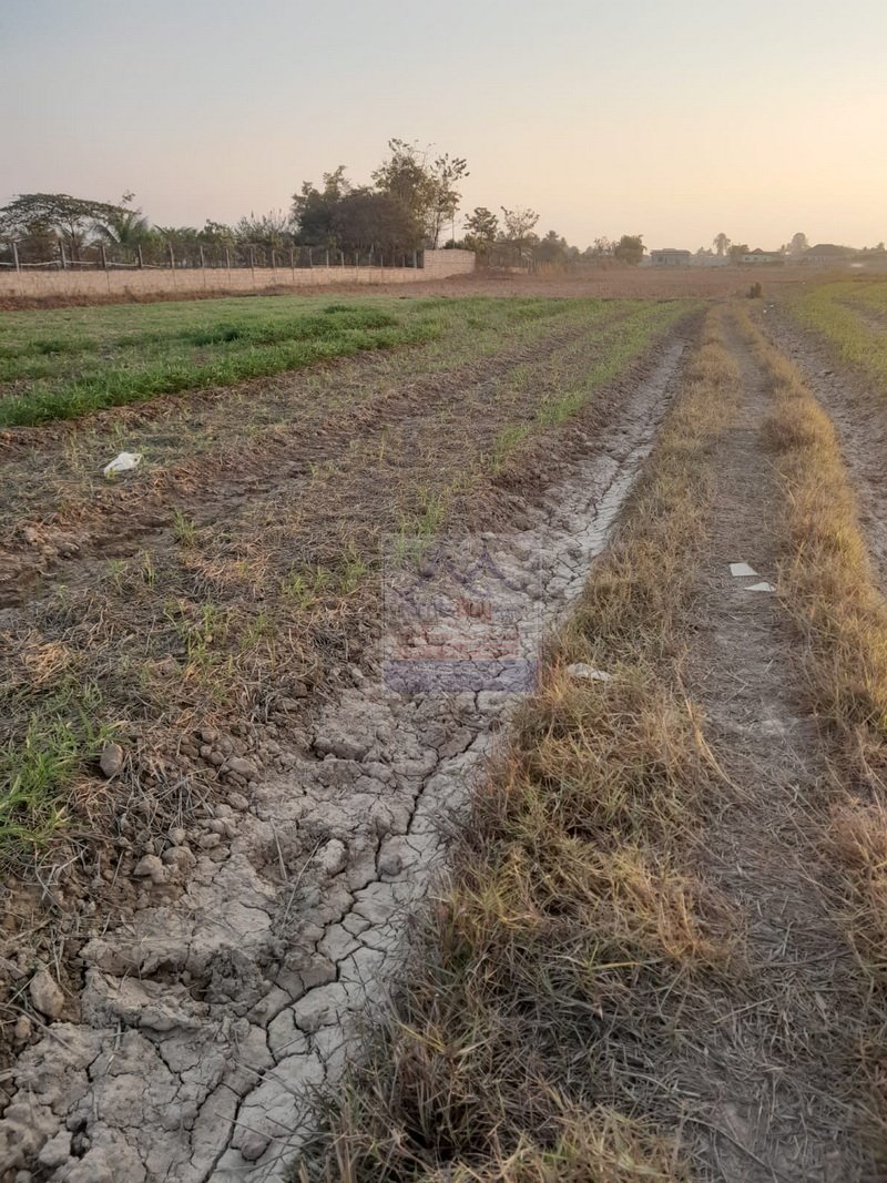 nicevacantlandforsale01 6389-Prime Farmland for Sale in Hadsaydong District – Ideal for Agriculture or Residential Development