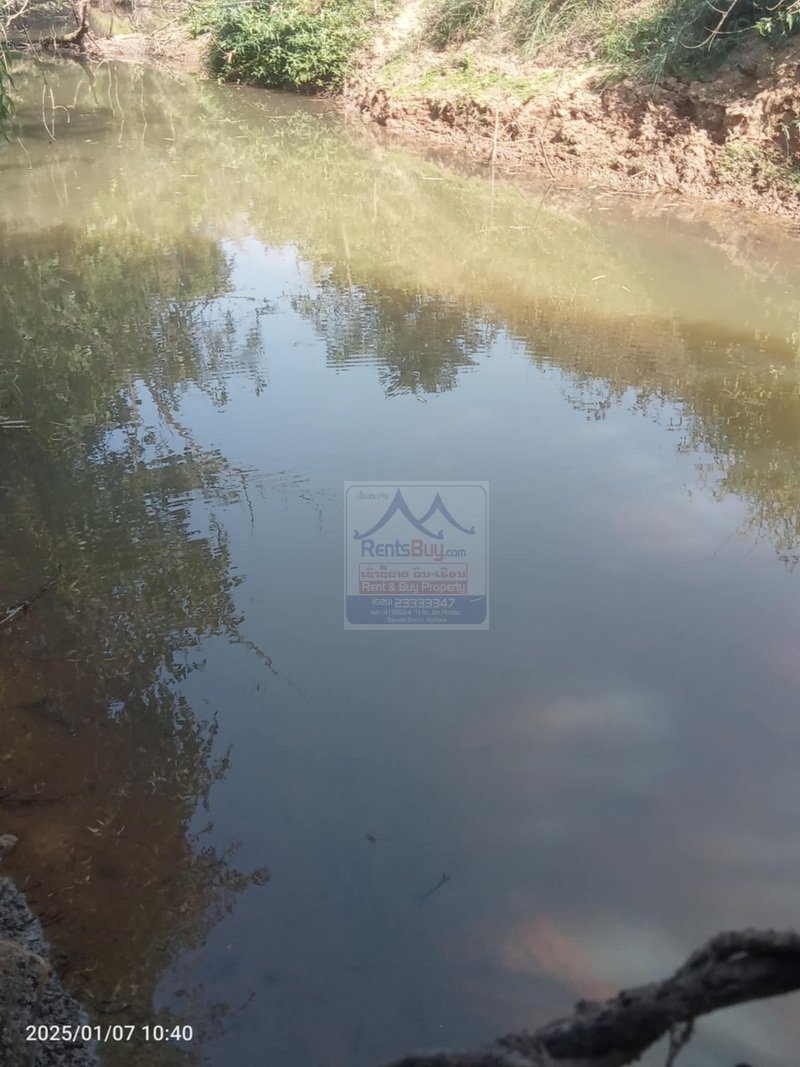 6410-Prime Agricultural Land for Rent or Sale in NongKhon, Phonhong District, Vientiane Province