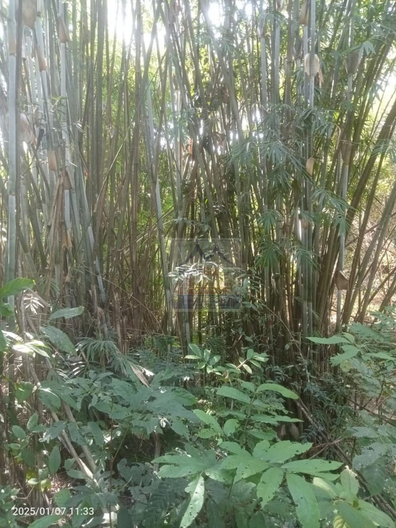 6410-Prime Agricultural Land for Rent or Sale in NongKhon, Phonhong District, Vientiane Province