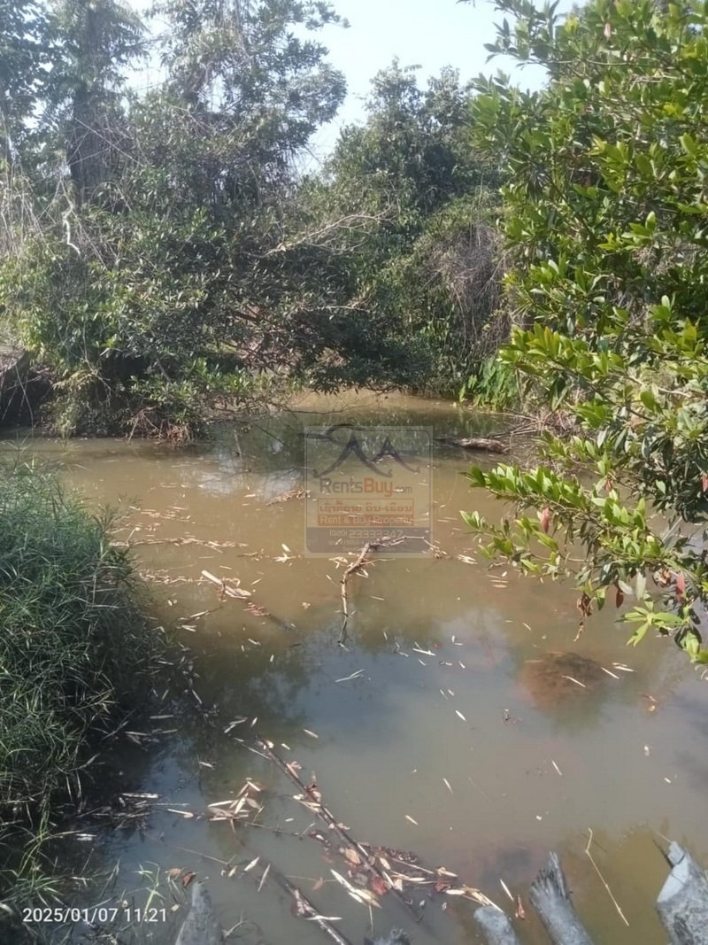 6410-Prime Agricultural Land for Rent or Sale in NongKhon, Phonhong District, Vientiane Province