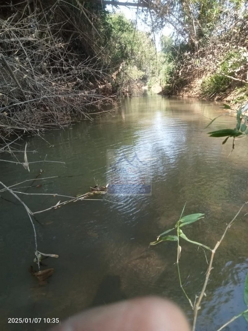 6410-Prime Agricultural Land for Rent or Sale in NongKhon, Phonhong District, Vientiane Province