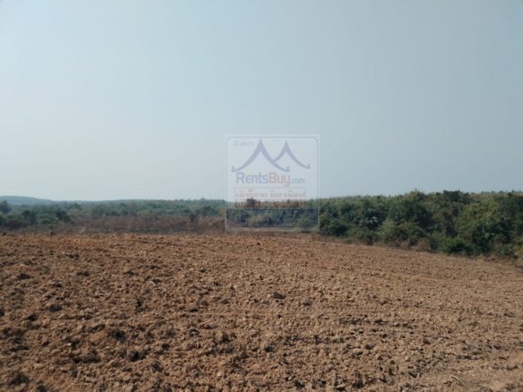 6410-Prime Agricultural Land for Rent or Sale in NongKhon, Phonhong District, Vientiane Province
