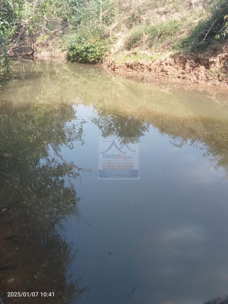 6410-Prime Agricultural Land for Rent or Sale in NongKhon, Phonhong District, Vientiane Province