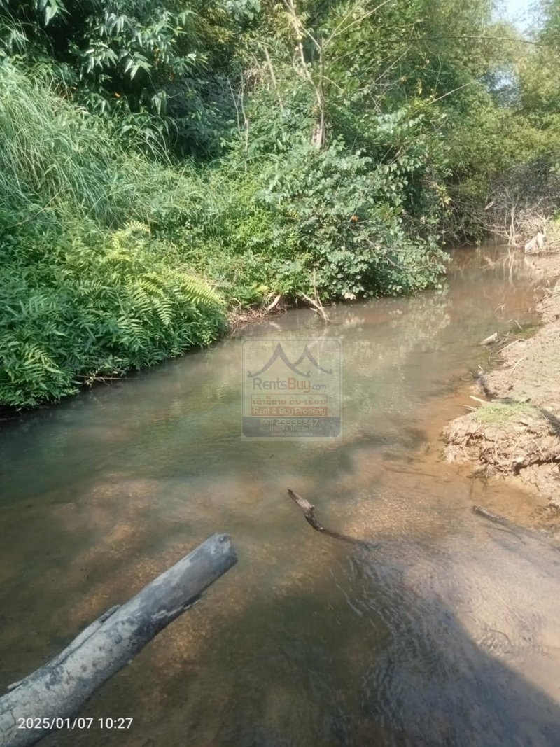 6410-Prime Agricultural Land for Rent or Sale in NongKhon, Phonhong District, Vientiane Province