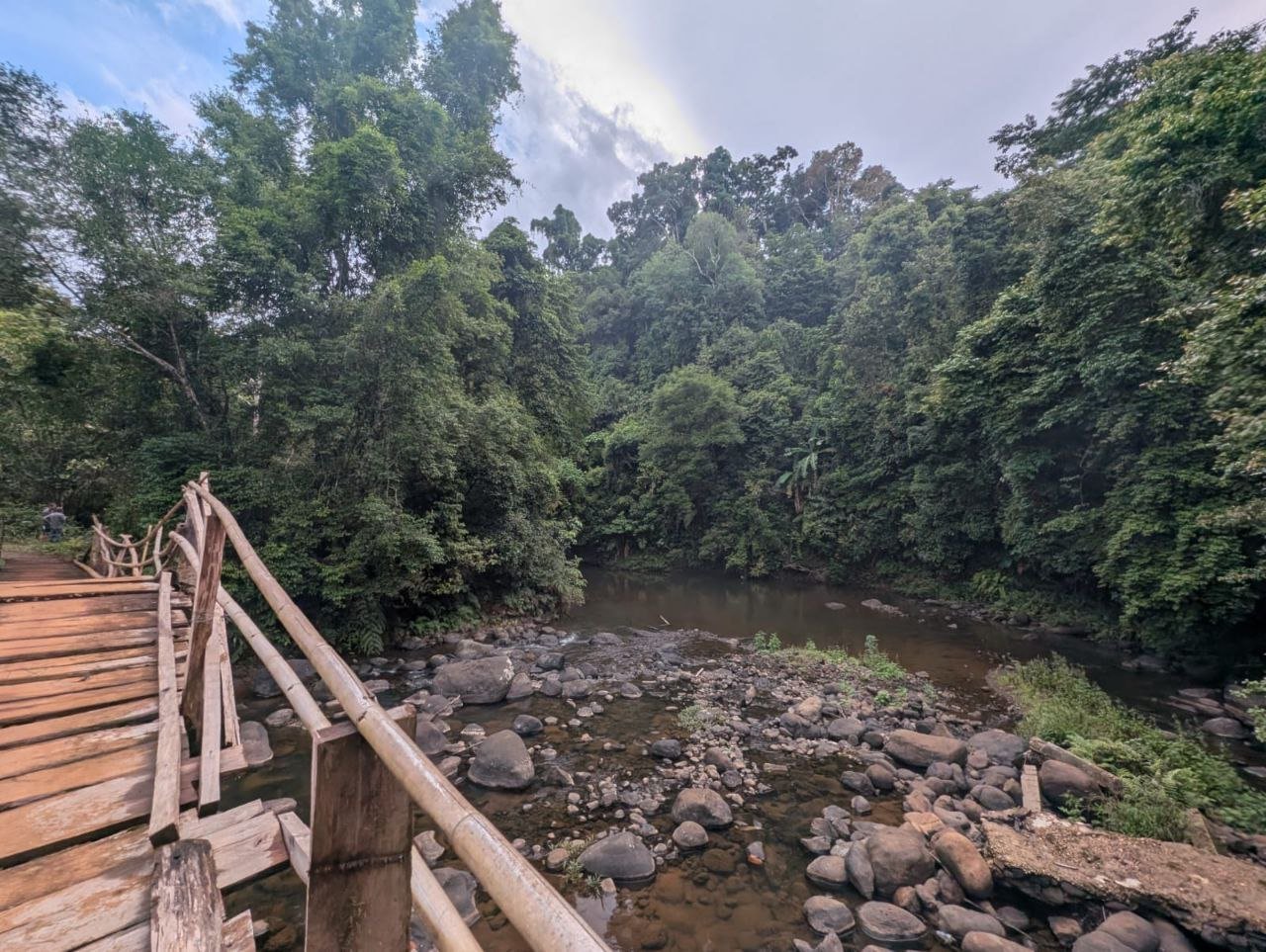 Paksong km42, riverside land with coffee trees and waterfall