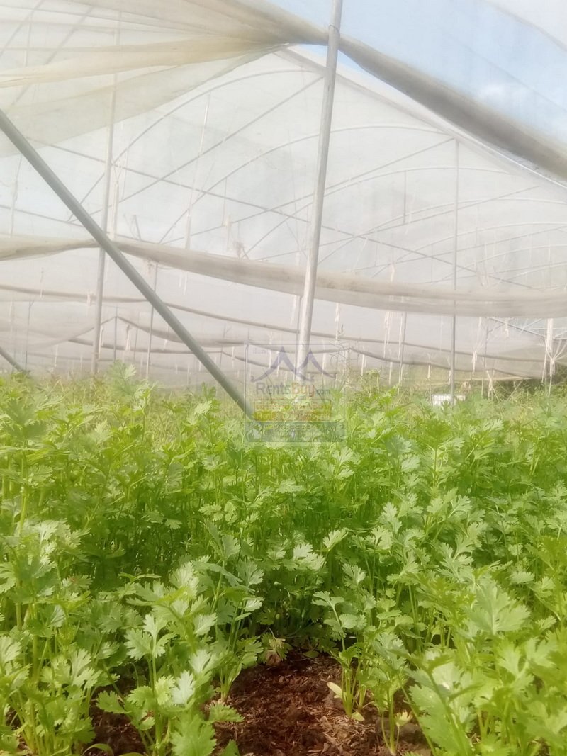 6373-Sustainable Success: Fully Equipped Organic Farm in Vientiane Capital.
