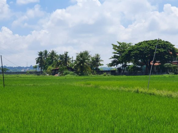 2520-Develop Your Dream: Land for Sale in Growing Area