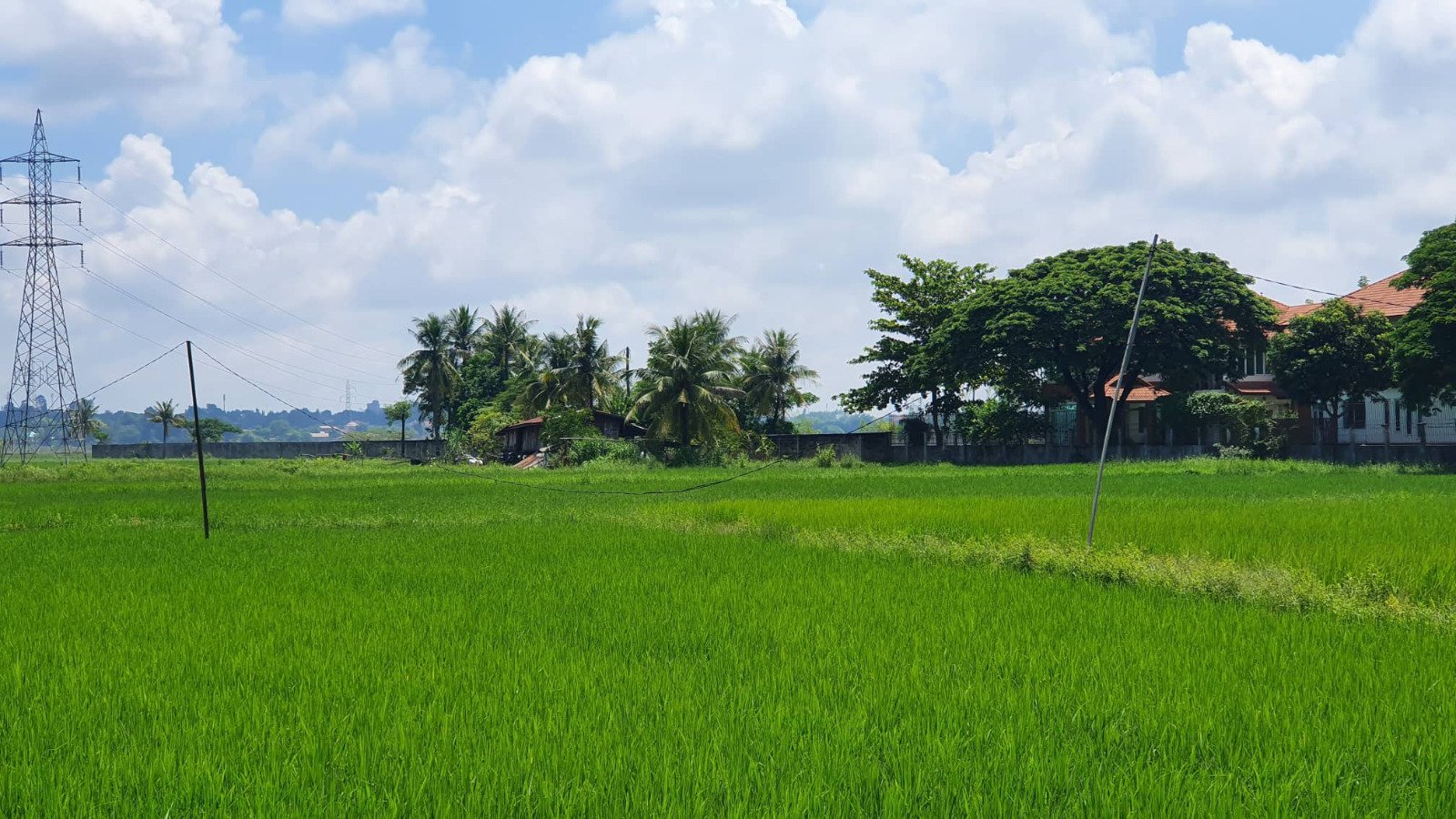 Landsale03 2520-Develop Your Dream: Land for Sale in Growing Area