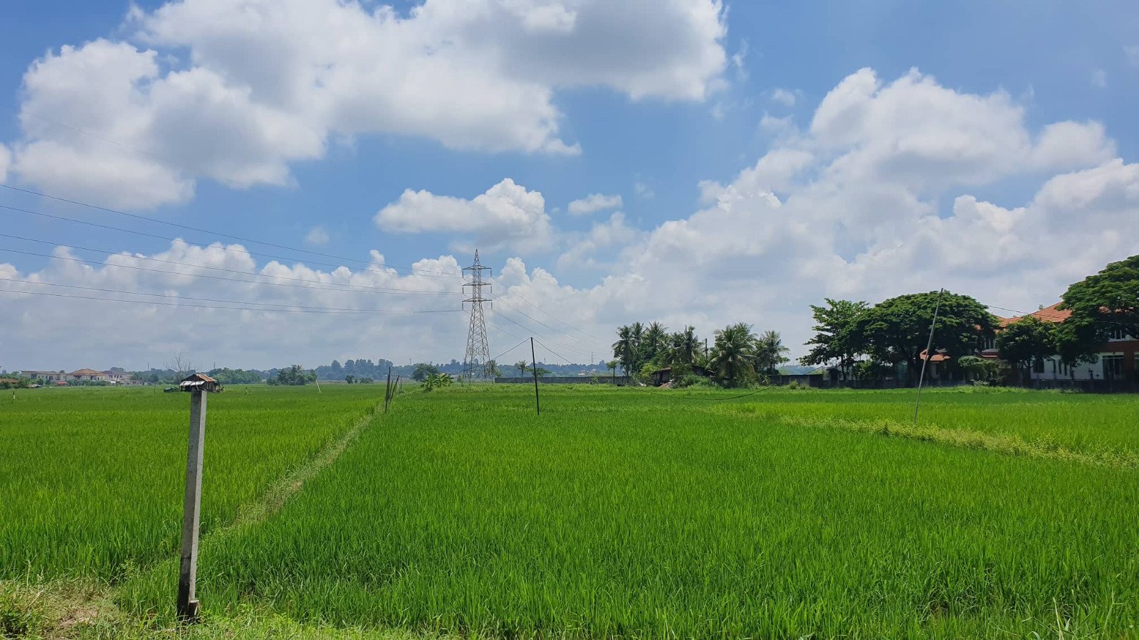Landsale04 2520-Develop Your Dream: Land for Sale in Growing Area