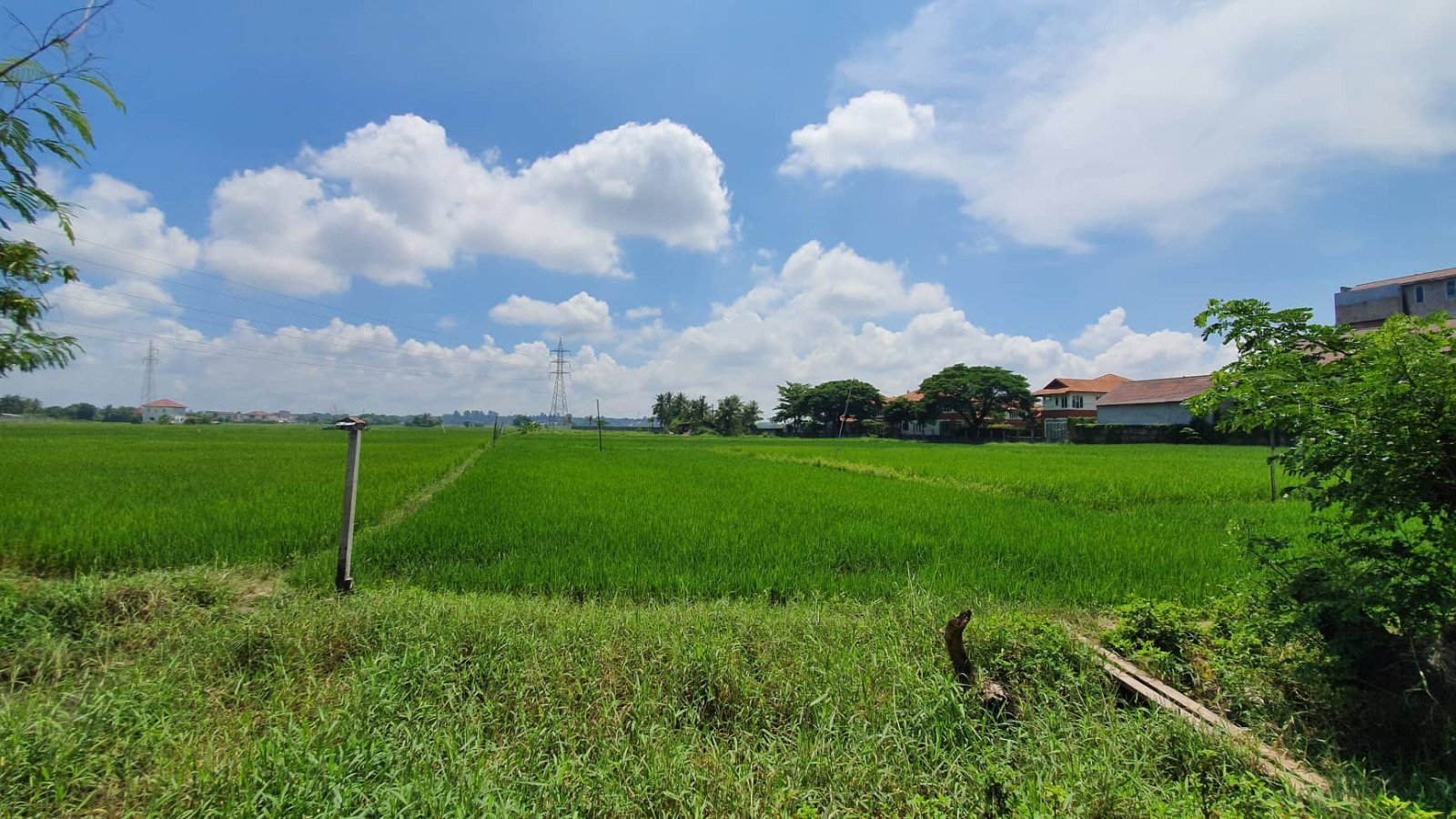 Landsale05 2520-Develop Your Dream: Land for Sale in Growing Area