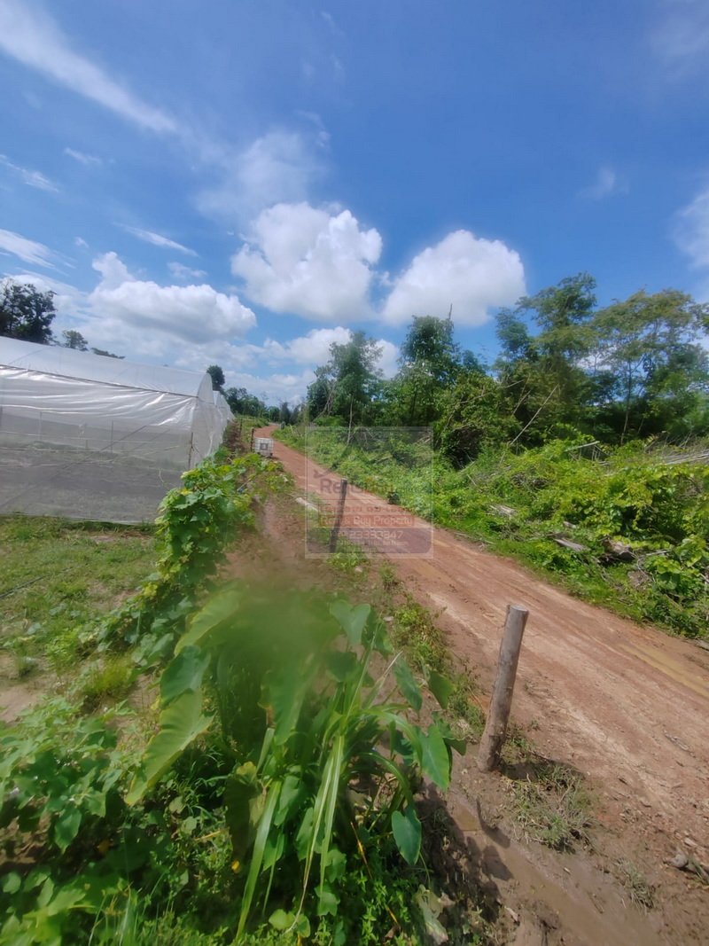 6373-Sustainable Success: Fully Equipped Organic Farm in Vientiane Capital.