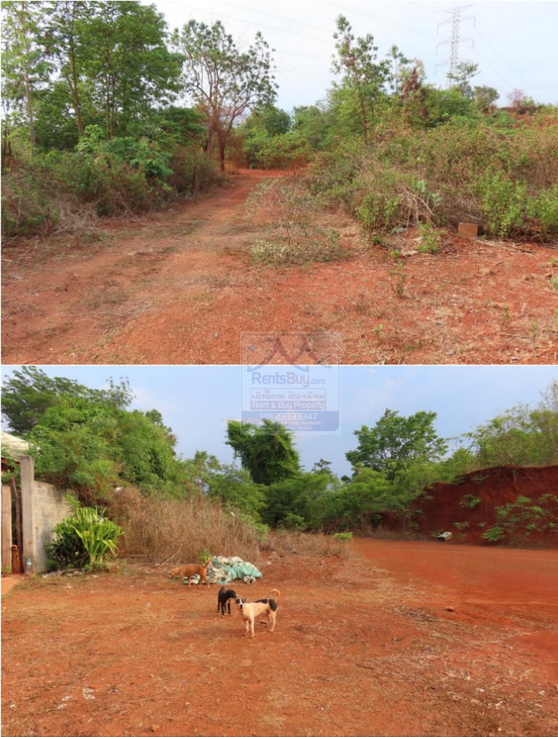 6501-Specialized Agricultural land Venture with Value Addition: A Sale Strategic Framework.